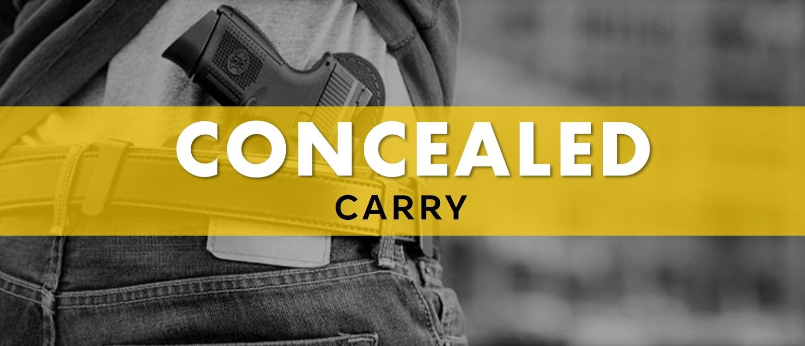 Concealed Carry Considerations GUNLINK Licensing Consultants