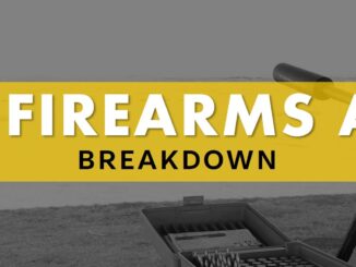 SA Firearms Control Act Breakdown - gunlink.co.za
